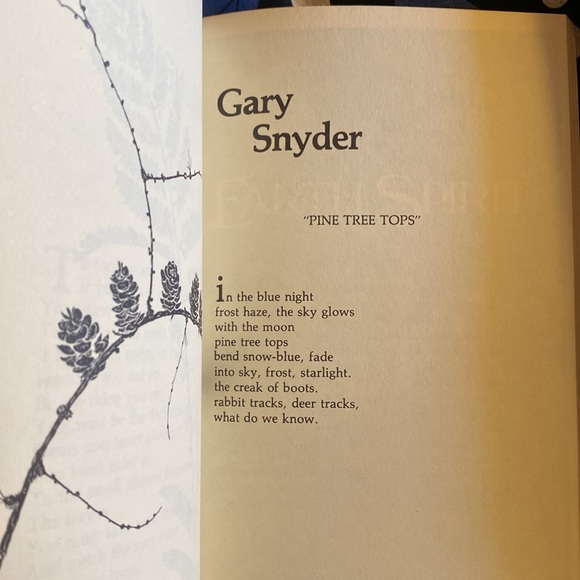 Classic 1989 The Earth Speaks. Steve Van Matre and Bill Weiler. - Picture 13 of 14